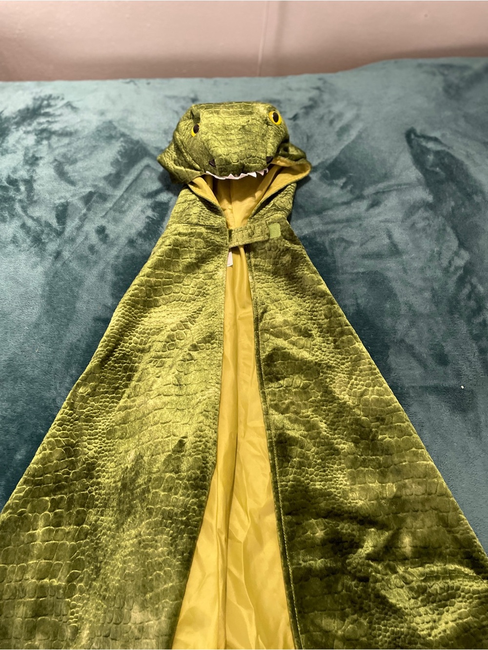 Kid’s Dinosaur Hooded Cape EUC.